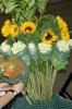 Jugendtag in Oberhausen 2004 - Samstag IV