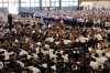 Jugendtag Stuttgart 04 - Sonntag III