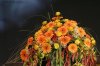 Jugendtag Erfurt 08 - Der Gottesdienst