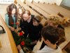 KiGo 10_14: Blumenschmuck im Apostelbereich Otten