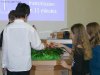 KiGo_10-14: Blumenschmuck im Apostelbereich Hoyer