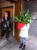 KiGo_10-14: Blumenschmuck im Apostelbereich Hoyer