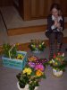 KiGo_10-14: Blumenschmuck im Apostelbereich Hoyer