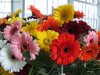 KiGo_10-14: Blumenschmuck im Apostelbereich Schwerdtfeger
