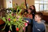 KiGo_10-14: Blumenschmuck im Apostelbereich Schug