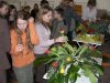 KiGo_10-14: Blumenschmuck im Apostelbereich Zeidlewicz