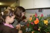 KiGo_10-14: Blumenschmuck im Apostelbereich Zeidlewicz