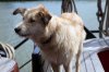 Mit Jugend Online auf dem Wattenmeer - Donnerstag